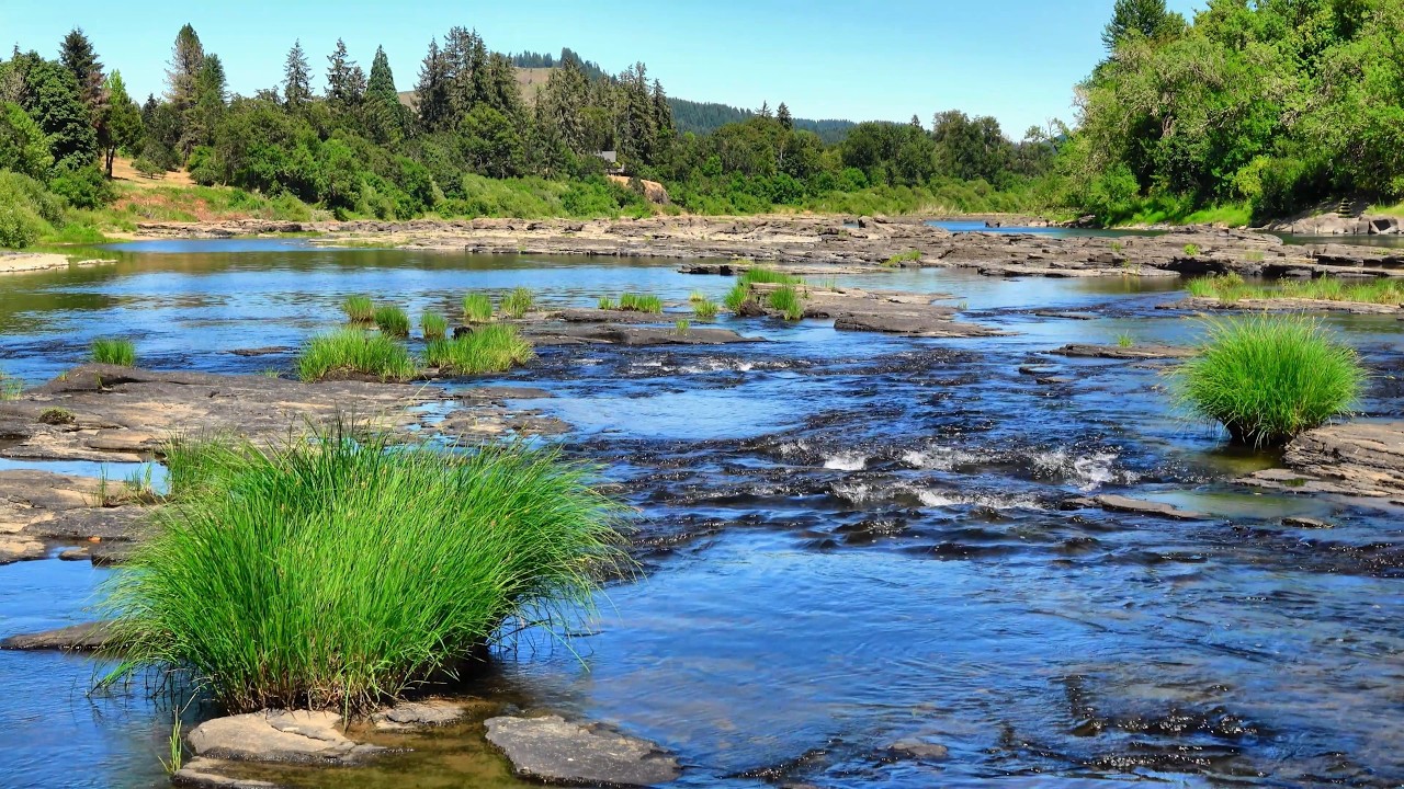 Musique de méditation calme avec sons de la nature, une rivière en été