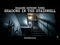 DOWS BETWEEN PINES SHADOWS IN THE STAIRWELL 