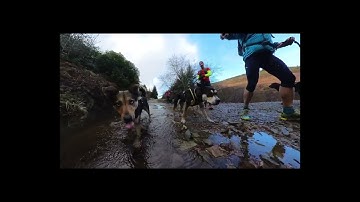 "Exploring the Welsh Hills: Running with Dogs with the Insta360 X3