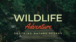 Welcome To The Jungle: Serene Wildlife Cinematics