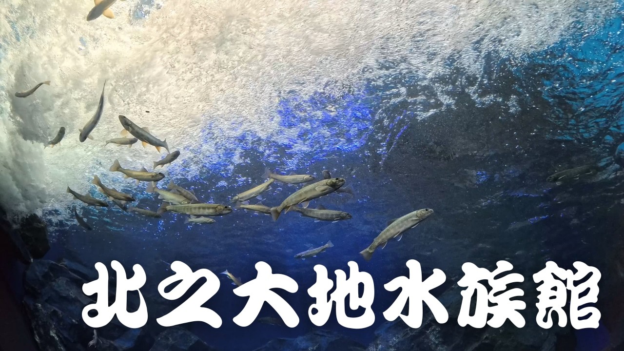 🧊 World's First ICE Aquarium! | Northern Land Aquarium 🐟 | Hokkaido Japan Travel Vlog