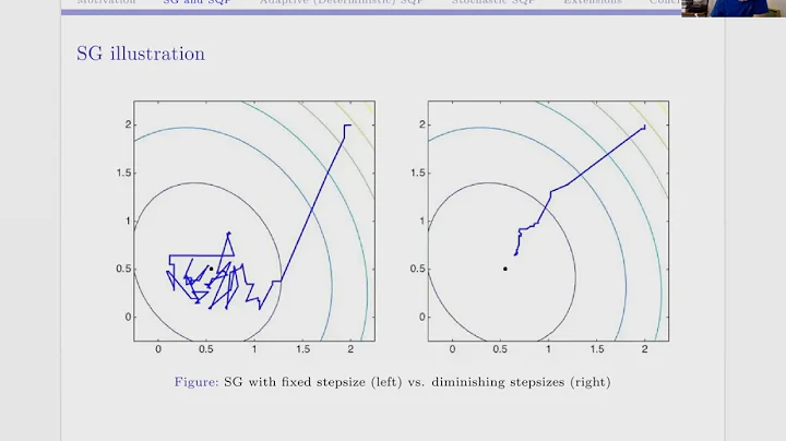 OWOS: Frank E Curtis - "SQP Methods for Deterministicall...  Constrained Stochastic Optimization"