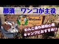 【ワンコが主役】【那須】【キャンプ】犬連れの初心者がキャンプ。那須ドッグラン＆キャンプ。貸切ドッグランと設備充実のキャビンで大満足。