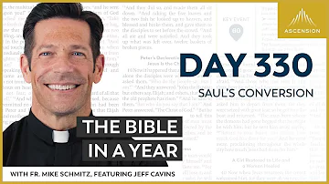 Day 330: Sauls' Conversion — The Bible in a Year (with Fr. Mike Schmitz)