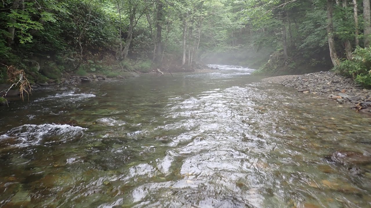 雨に湧く、鱒たちが狂ったようにルアーを追う