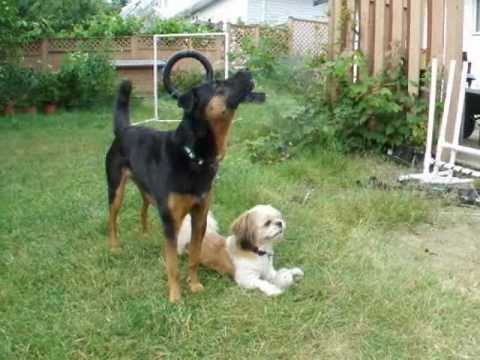 fallback-no-image-199