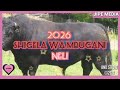 SHIGELA WA MBUGANI FT NDAMA JIGUSHILAGA NELI Official Music 2026 