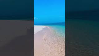 Cù lao câu| hòn đảo hoang sơ và bình yên, Bạn đã đến đây? #Puolotrip #travel