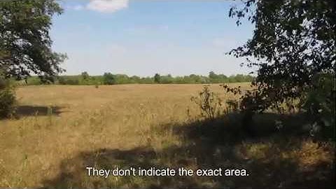 Murder site of Lyubar Jews in Ladiva Vilshina grove