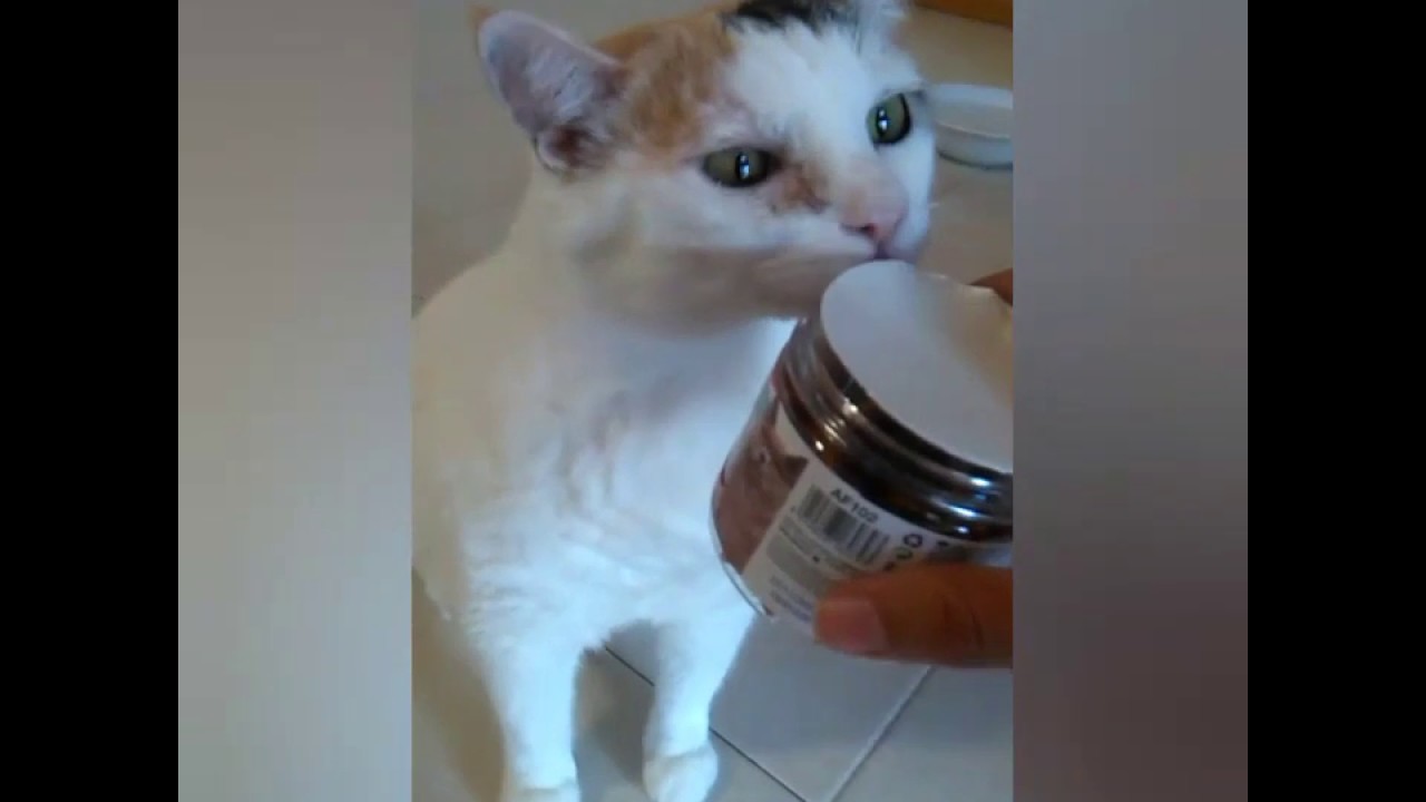 Bianca Gatta Matta  prova Camon Stick