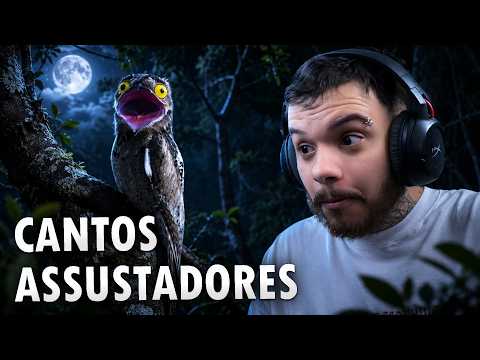 os 15 cantos de aves mais ASSUSTADORES do MUNDO - React Planeta Aves