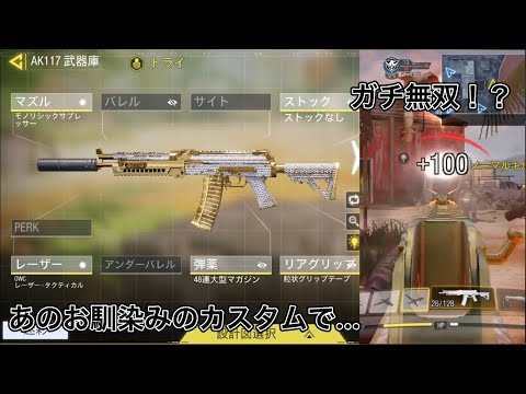 AK117のお馴染みカスタムで無双？