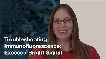 Troubleshooting Immunofluorescence: Excess (Bright) Signal  | CST Tech Tips
