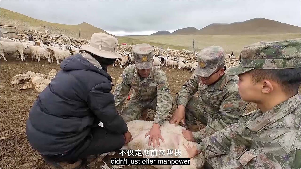 How Chinese Soldiers Built a $100,000 Sheep Empire in Tibet's Poorest Village