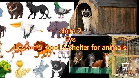 CBSE#Class2#Evs# Lesson 5#Food& Shelter for animals