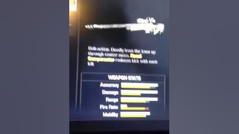 CoD Ghost loading screen, guns, perks, and more!