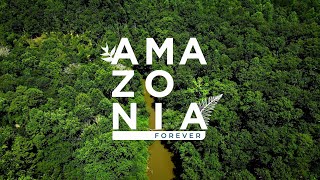 Amazonia Forever - Accomplishments of 2024