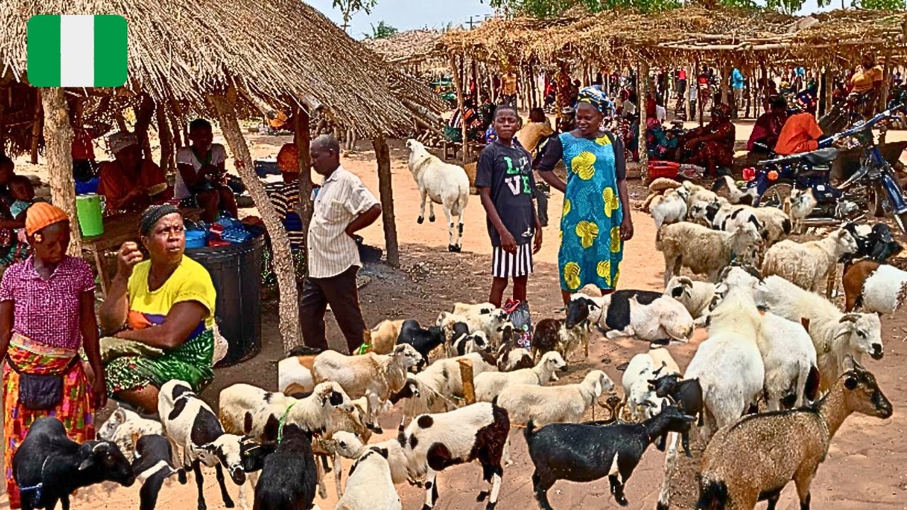 Rural African Village Market Day in Tyor Tu Nigeria 🇳🇬 West Africa