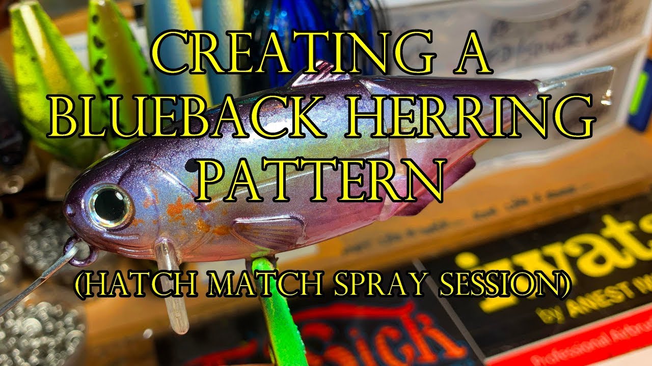 Spray Session - Hatch Match Series Blueback Herring (08/22/2019) 