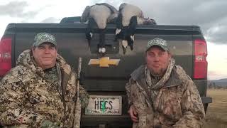 Goose hunting with HECS! first aired January 2023