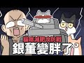 銀董變胖了🔥貓咪的減肥史詩攻防戰｜阿啾小劇場 image