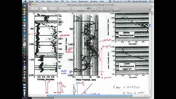 2:6 Multiphase Flow - LNAPLs/DNAPLs, saturation with depth, monitoring