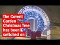 The Covent Garden Christmas Tree has been switched on | First Look | Time Out London