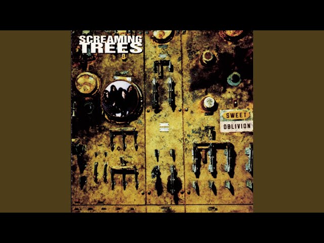 Screaming Trees - The Secret Kind