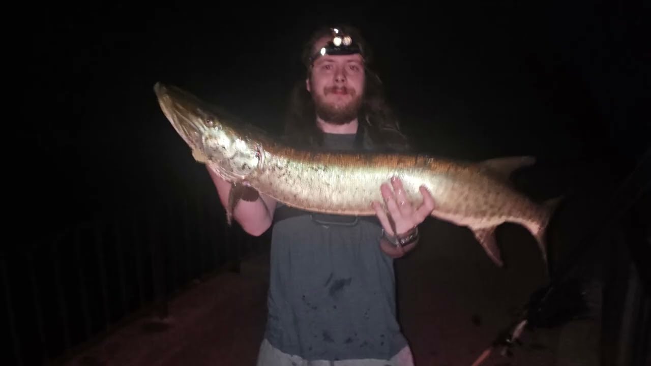 Went Bass Fishing… Then This Happened.