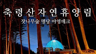 축령산자연휴양림 전망대 영상