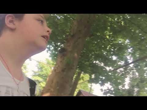 ესეც ახალი ვიდეო. ბოდიშს გიხდით რომ არ ვაქტიურობდი