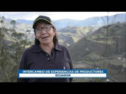 Intercambio de experiencias entre productores de bolivia perú y ecuador