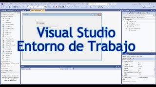 Entorno de trabajo en Visual Studio