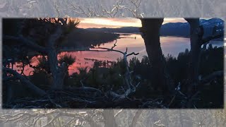 FOBBV Eagles 🦅 Jackie \& Shadow on vacay 🏖️ as a beautiful day dawns on Big Bear Valley 🌄 2024 Apr 18