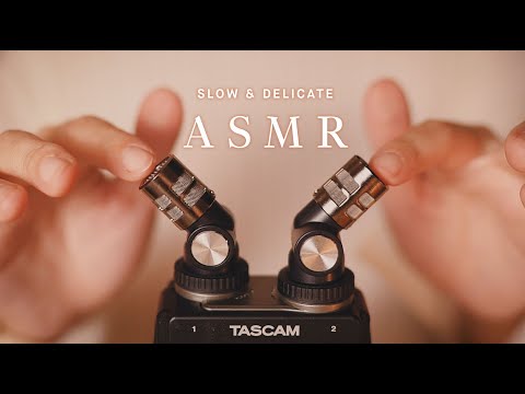 【1649C ASMR】Delicate Brain Tingling Mic Exploration | No Talking | Tascam Portacapture X8