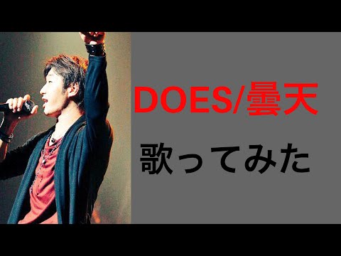 DOES/曇天　cover