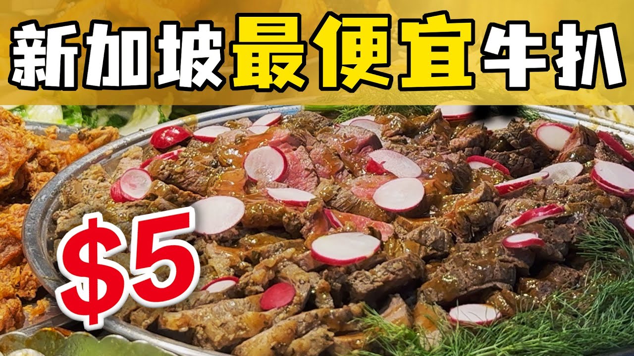 竟然有$5牛扒？！新加坡菜饭可以吃得到！新加坡666菜饭，新加坡经济菜饭有三文鱼牛扒？新加坡中西合璧菜饭，666 Cai Fan Porridge