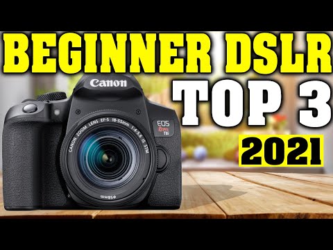 TOP 3: Best Entry Level DSLRs 2021｜Best Beginner DSLR Camera