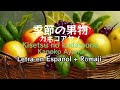 Kisetsu no kudamono [季節の果物] - Kaneko Ayano | Letra en Español/Rōmaji