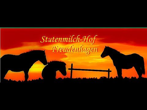 www.stutenmilch-hof.de