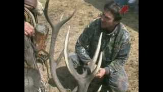Охота на оленя в Аргентине