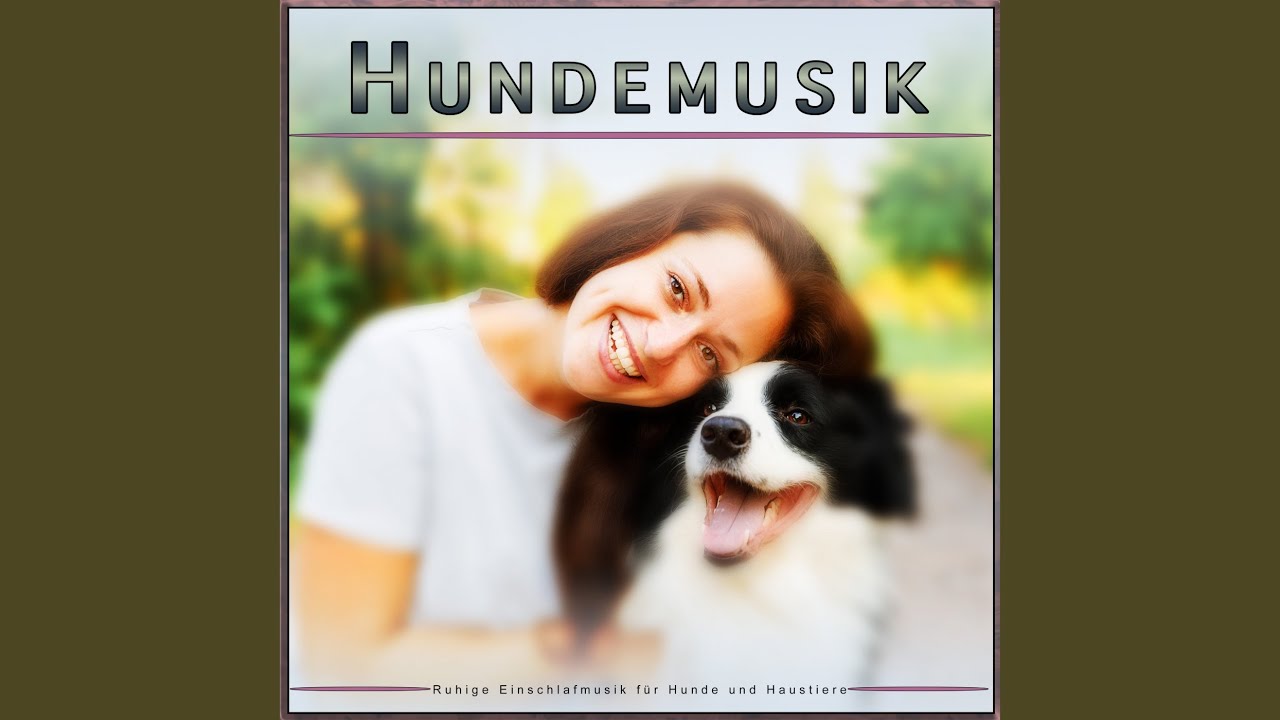 Die beste Hundemusik - YouTube