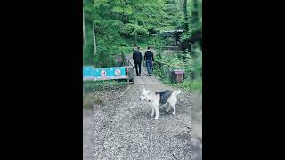 Волконский дольмен