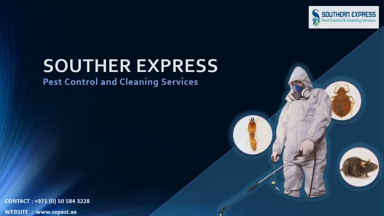 BEST PEST CONTROL IN DUBAI