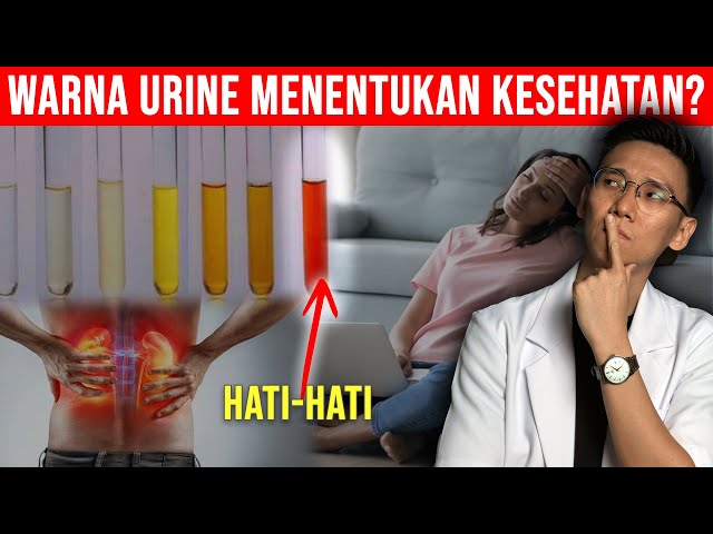 CEK WARNA KENCING (URINE) mu. Bisa Jadi Indikator Kesehatan / Penyakit. Dehidrasi / Sakit Ginjal? class=