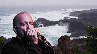 Kim Wilson - Blue And Lonesome