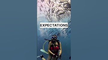 Reality of Scuba Diving in Goa
