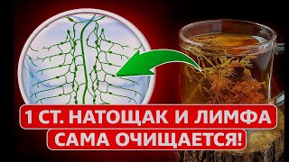 ЗАПУСТИ ЛИМФУ ЗА 1 МИНУТУ! ⚡ ЛЕГКАЯ ОЧИСТКА ОРГАНИЗМА, УХОД ЛИШНЕЙ ЖИДКОСТИ И СНИЖЕНИЕ ВЕСА 🔥