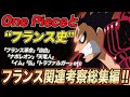 【ワンピース】Dの読み方、イム様のモデル、フランス革命との繋がり、フランス革命関連動画 総集編 ユイの研究室の歴史を総ざらい!【ワンピース考察】