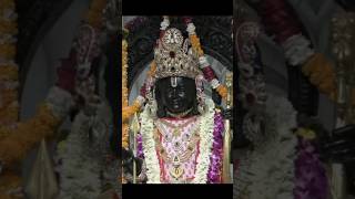 Shri Ram Lala darshan #jaishreeram #radheradhe #mahadev #ayodhya #indreshji #vrindavan#ram #status
